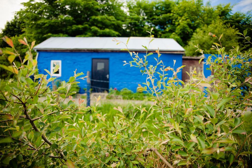 The Snowdon Inn - Y Fricsan Cwm-y-glo Quarto foto